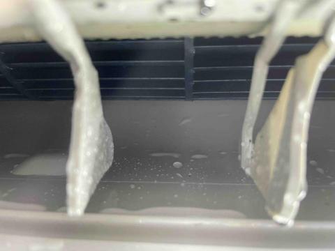 蕭鼎潤（企鵝洗淨） - 