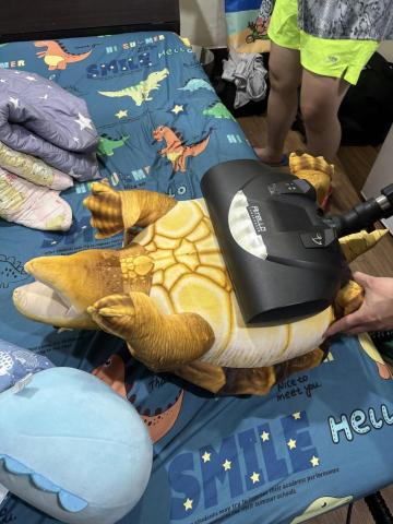 除蟎師阿琦 - 睡眠小夥伴也不要忘記除蟎