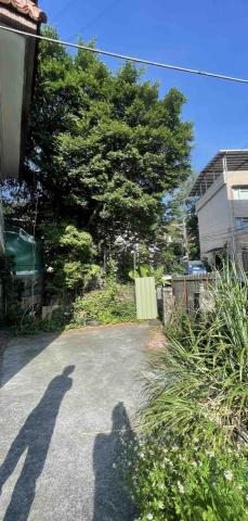 廣聖園藝 - 住家樹木移除