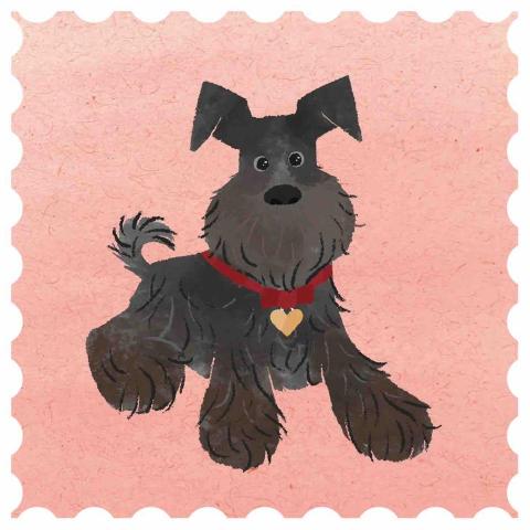 喻晴 - 客製寵物似顏繪插畫-雪納瑞