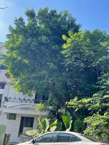 廣聖園藝 - 施工前