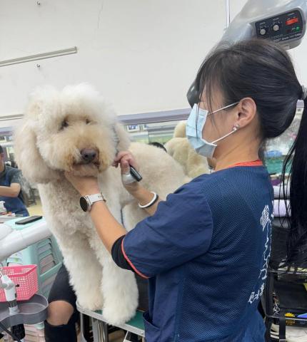 章蕙昕Finna - 比我高大的巨貴 學姐幫我側拍照