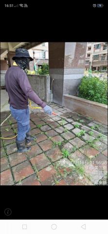 靜龍企業 - 病媒蚊消毒