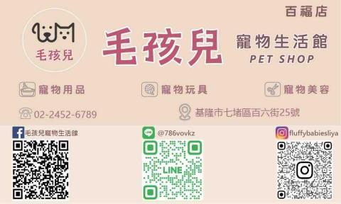 logo 廣告DM 影片編輯製作 遊戲代打 - 寵物店名片製作