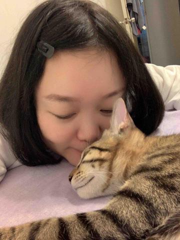 提供出租割草機服務的專家小幫手居家清潔