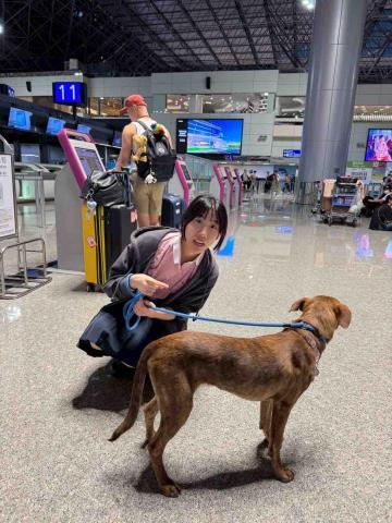 陳一方 - 其中一個志工工作需到機場協助遛狗