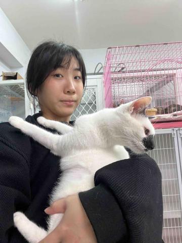 陳一方 - 貓咪志工會幫忙清理貓砂整理環境及逗貓