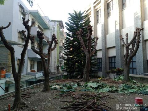 小松園藝吳明典 -  小松園藝吳明典 -