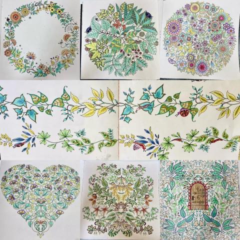 Mia Fu - 配色繪圖