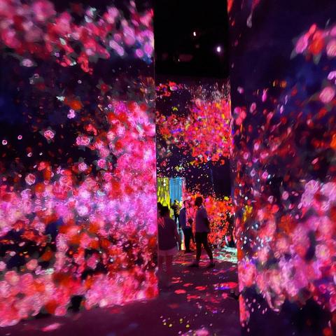 提供行銷公司台南服務的專家Lauren