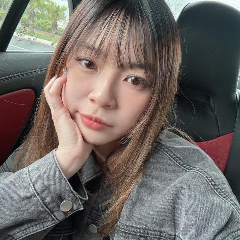 提供賺錢ptt服務的專家何婉暄