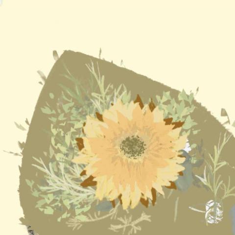 提供ar服務的專家轉轉工作室