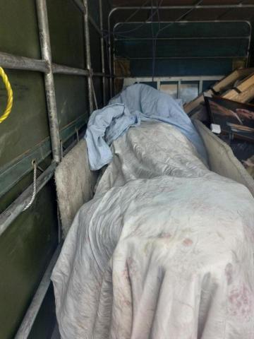 綠沐國際行銷策劃有限公司 - 