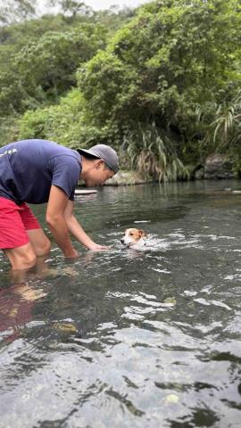 狗狗運動/散步/放電/陪玩 - 游泳練習
