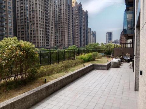 悠然景觀有限公司 - 露台戶-植物修剪