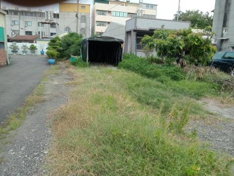 王東明 - 安定區空地除草整理前 王東明 - 安定區空地除草整理前