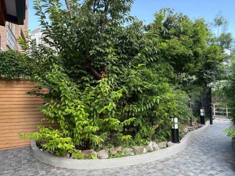 東美園藝 - 整理前