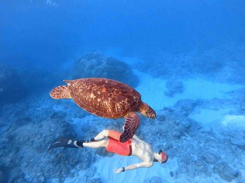 自由潛水教練Van - 