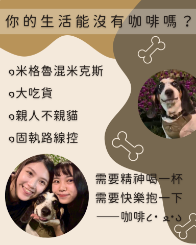 1768一起遛吧！寵物代遛ǀ安親ǀ散步ǀ保姆ǀ到府照顧 - 《毛孩紀念冊》Vol.2
一年一班｜風紀股長・咖啡
Coffee, tea or me?☕️

最親人的米格魯
天生嗅覺靈敏
喜歡追逐氣味
願你帶著與生俱來的勇敢
繼續探索這個世界

親愛的：
清醒得靠咖啡因，幸福就靠咖啡♡
――1768筆

班級持續招生中！
代遛・安親・保姆・到府照顧
❤️我們等你來報名，給你滿滿的愛與陪伴！