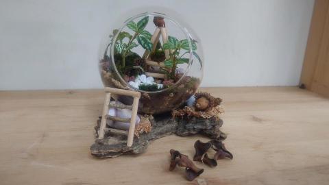 鉤藝郎複合式教學 - 微景觀植物生態玻璃球