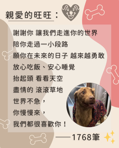 1768一起遛吧！寵物代遛ǀ安親ǀ散步ǀ保姆ǀ到府照顧 - 《毛孩紀念冊》Vol.1
一年一班｜班長・旺旺
是隻害羞又怕生的大i狗

從不敢靠近，到開心跳躍，搖著尾巴回家
你用一次又一次的小進步
讓我們看見你的勇氣與信任

親愛的旺旺：
世界不急，你慢慢來，我們會一直喜歡你！
――1768筆

班級持續招生中！
代遛・安親・保姆・到府照顧
❤️我們等你來報名，給你滿滿的愛與陪伴！