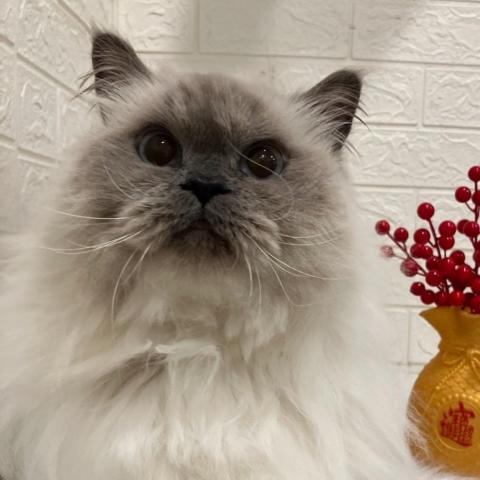 提供林園水電行服務的專家孫煜程