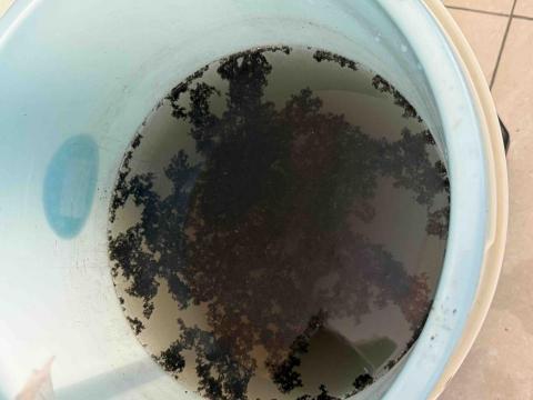 冷氣小胖👍 - 清洗下來的髒水 