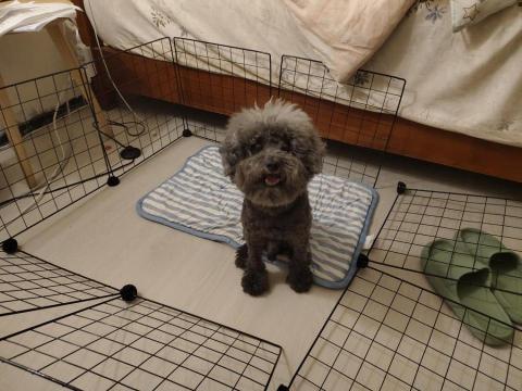 提供77服務的專家77