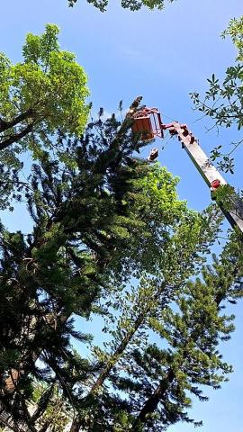 提供45型怪手服務的專家耕心工程行