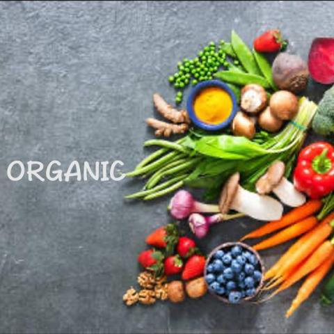 提供線上服務的專家營養師Renee