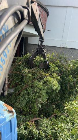 耕心工程行 - 夾樹枝