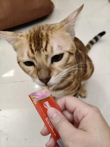 周喵喵個人整潔室 -  周喵喵個人整潔室 -