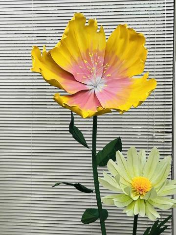 汨羽藝境工作室 - 巨型花藝｜南島扶桑花｜雛菊｜