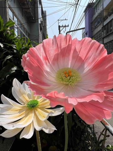 汨羽藝境工作室 - 巨型花藝｜芍藥｜