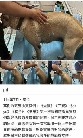 潘凱恩 - 寵物美容到府服務紀錄照