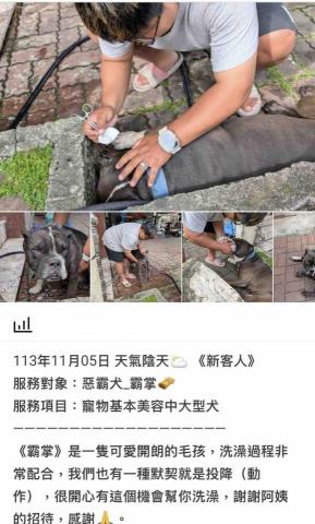 潘凱恩 - 寵物美容到府服務紀錄照