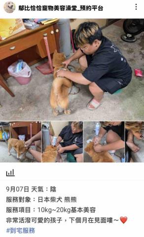 潘凱恩 - 寵物美容到府服務紀錄照