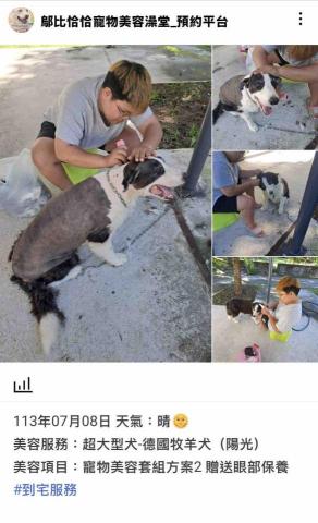 潘凱恩 - 寵物美容到府服務紀錄照