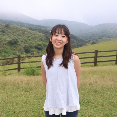 提供n3服務的專家陳若瑜