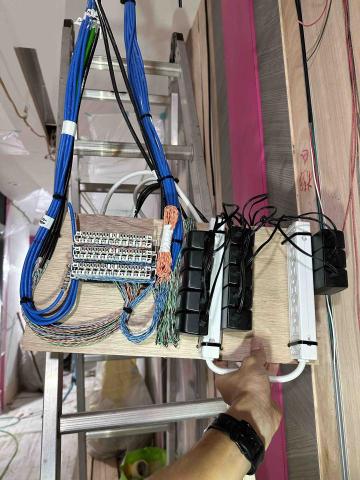 弱電阿威 -  弱電阿威 -
