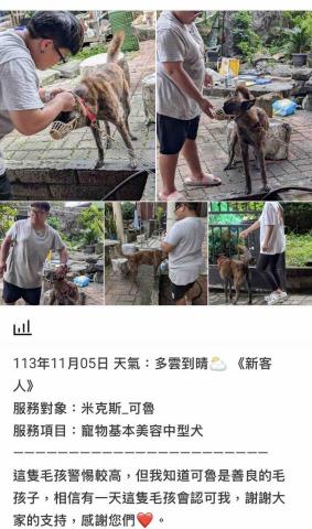 潘凱恩 - 寵物美容到府服務紀錄照