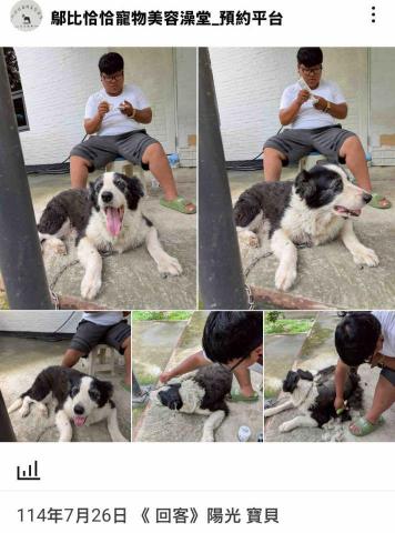 潘凱恩 - 寵物美容到府服務紀錄照