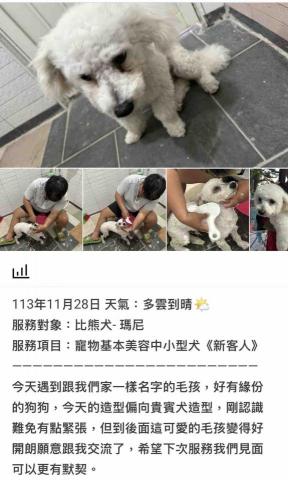 潘凱恩 - 寵物美容到府服務紀錄照