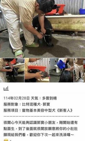 潘凱恩 - 寵物美容到府服務紀錄照