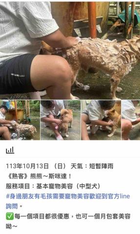 潘凱恩 - 寵物美容到府服務紀錄照