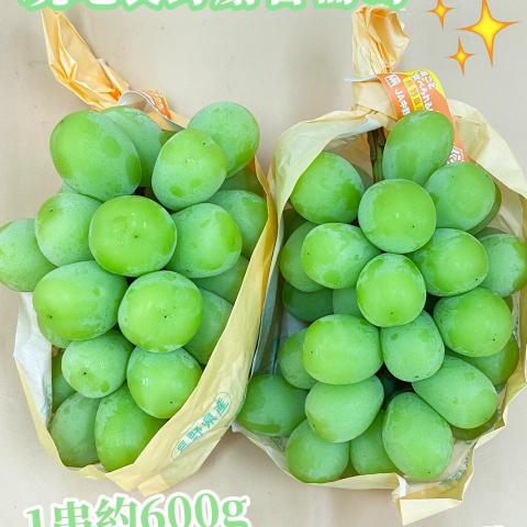 提供北港李服務的專家李雨錡