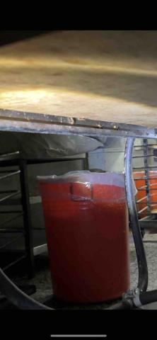 亞領病媒防治 - 蟑螂消毒