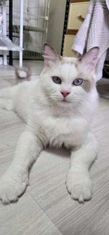 徐晏緹 - 愛玩的杏鮑菇♡ 徐晏緹 - 愛玩的杏鮑菇♡