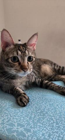 徐晏緹 - 寶寶寄宿中♡ 徐晏緹 - 寶寶寄宿中♡