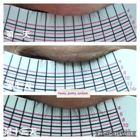 fanny_pretty_eyelash - 科技育髮-睫毛